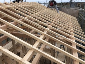 D2223539-0CE3-45CE-B03C-859376B10D5C