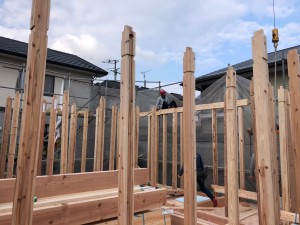 1D35300B-0A65-40A5-A6DF-04087AB45BF8