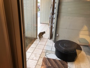 690EAE22-EF9B-4CCD-84D9-0FB3DD55298D