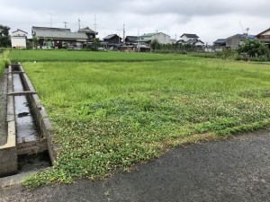 772F0E7F-4992-421E-8A73-28E423DD5828