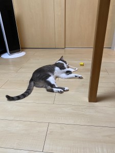 87C4BD8E-FE89-4B3E-B4C0-D1B33BA9554B