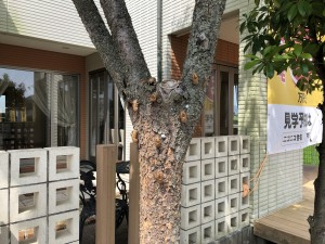 D67B83E7-71AD-4528-88AA-0FCBB868B986