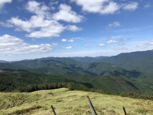 IMG_3256
