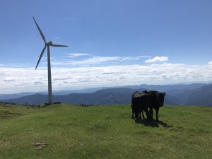 IMG_3260