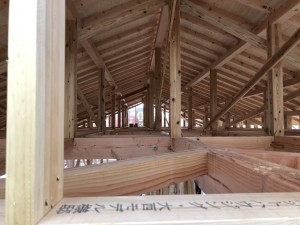 IMG_0489