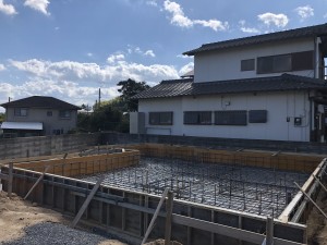 IMG_0530