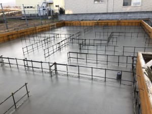 IMG_3726
