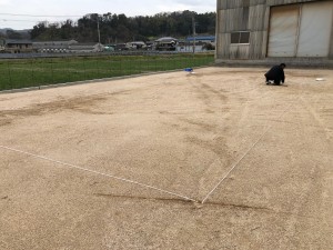 IMG_0497