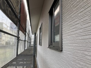 IMG_3968