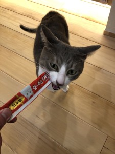 2911F5A7-FBD0-4CB2-88E9-050DD70146D1