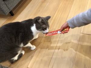 369267CD-232D-42AA-8516-E9CB28740D02