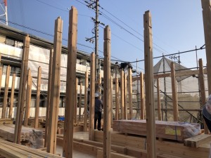 38D5A824-9C58-44C1-A4EE-6BCEBEED39CD