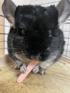 3A2F7115-8F2C-4D68-B7B3-972790BBF9DC