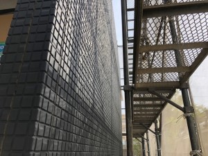 IMG_2294