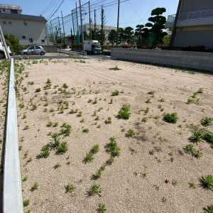LINE_ALBUM_立花047モデル_230422.