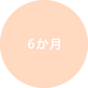 6か月